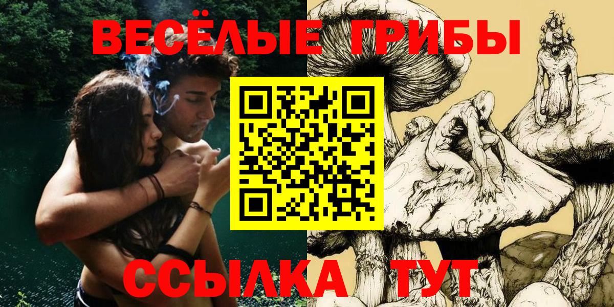 Саянск  Галлюциногенные грибы GOLDEN TEACHER  Вход с VPN 